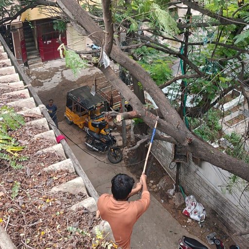 katamraj-Tree-Cutting-Services-Gallery17.jpg